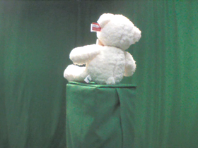 315 Degrees _ Picture 9 _ White Teddy Bear Wearing Gold Ribbon.png